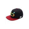 Night Hawks Snapback Cap - Black/Cardinal