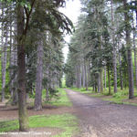 Thumbsq_100_6247