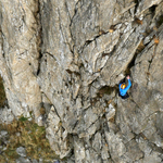 Thumbsq_countryfile_1