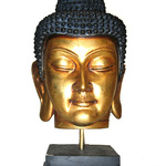 Thumbsq_budh37_head