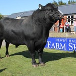 Thumbsq_newby-hall-shop-openday-1-5-2011-206