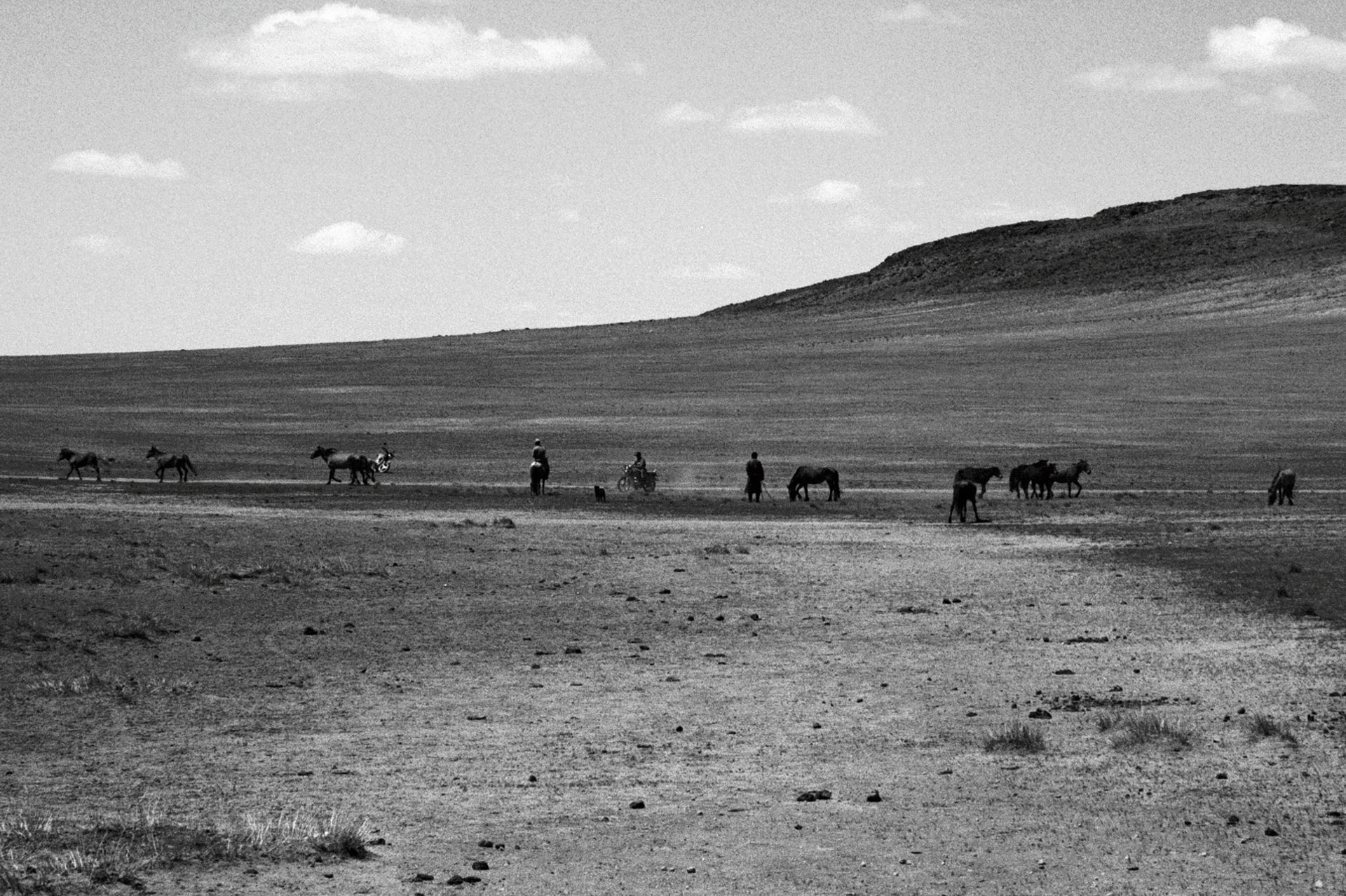 photo06_6-1c
