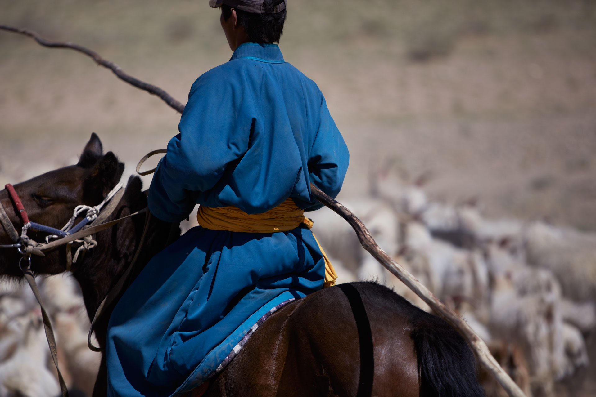 maiyet-mongolia-kd-day8-1-52651v1