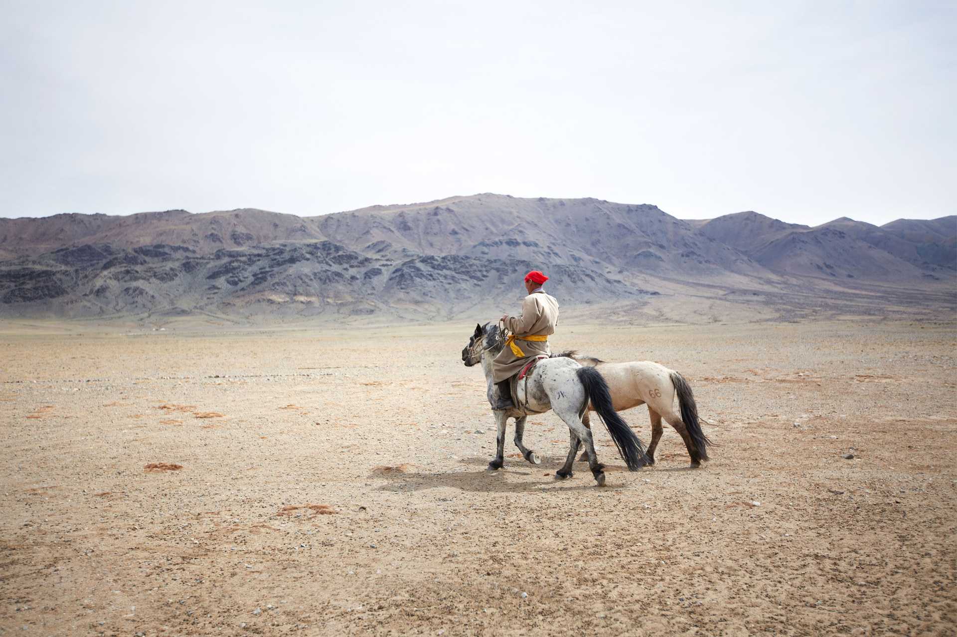 whitehorse-kd