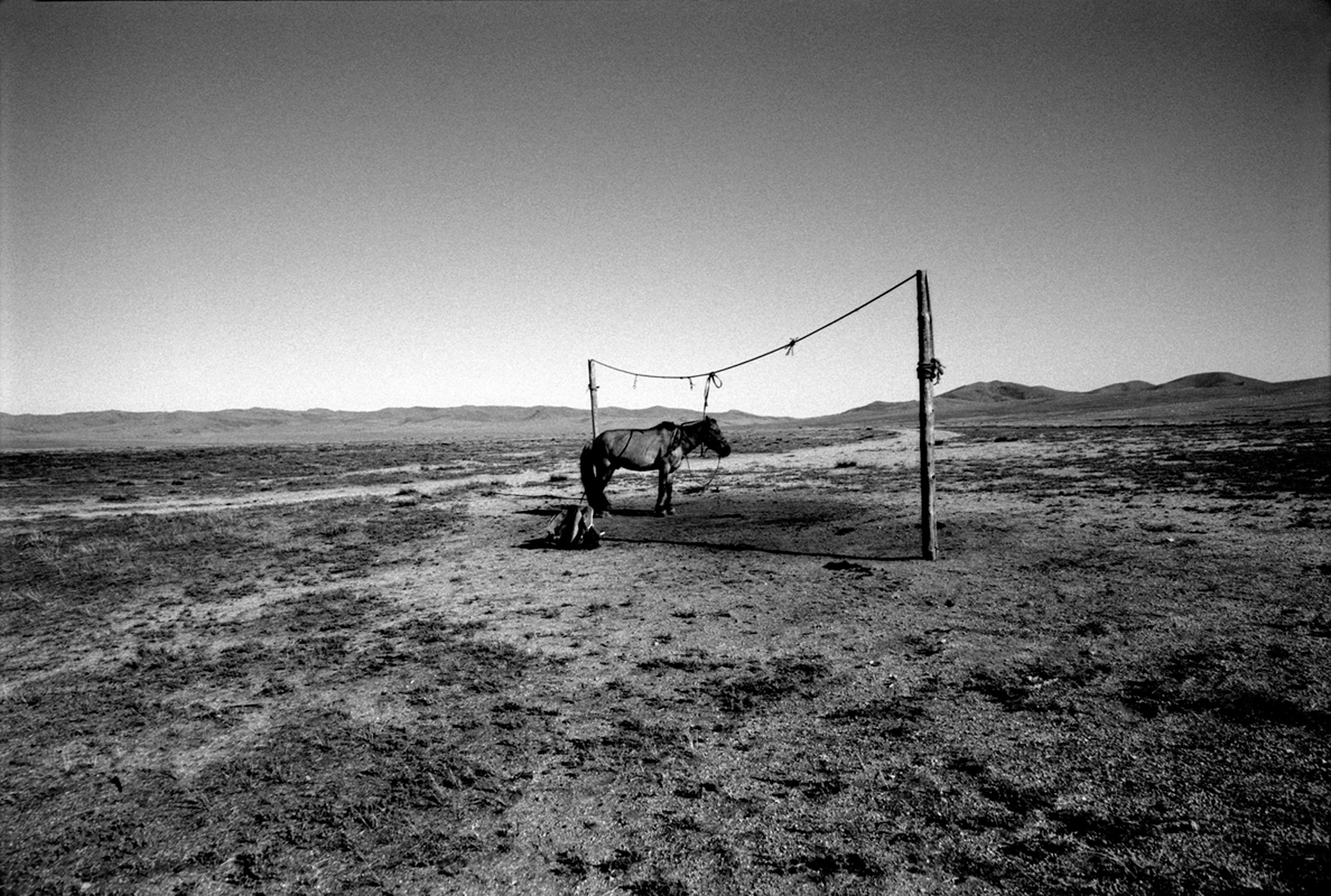6_4kerry-dean-mongolia