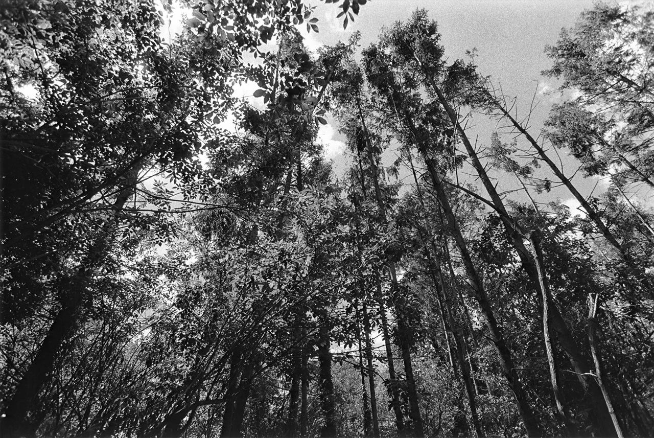 kjd_bw-20v2