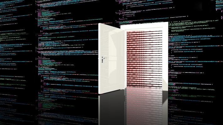 Backdoor