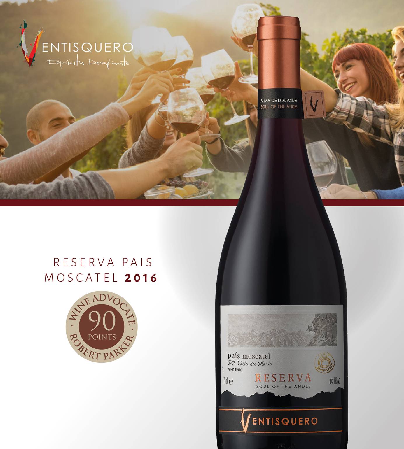 Viña Ventisquero wines rated 'outstanding' by Robert Parker Kingsland