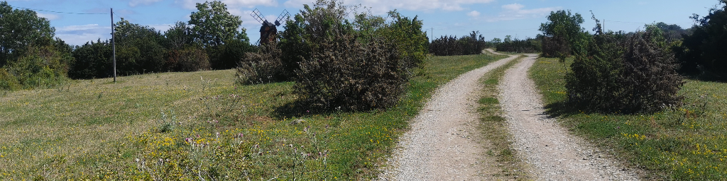 Spaziergang