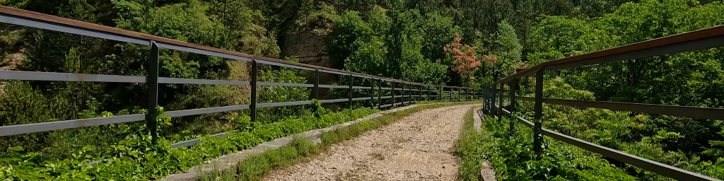 Parenzana Trail