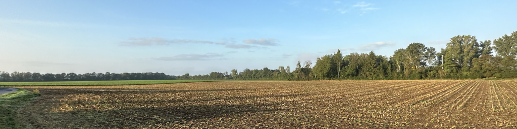 Gravel Tour Langenfeld, Monheim, Düsseldorf