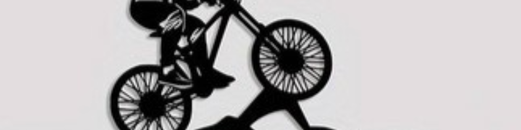 Austria | MTB Hohewand Wiese/Trailcenter Wien