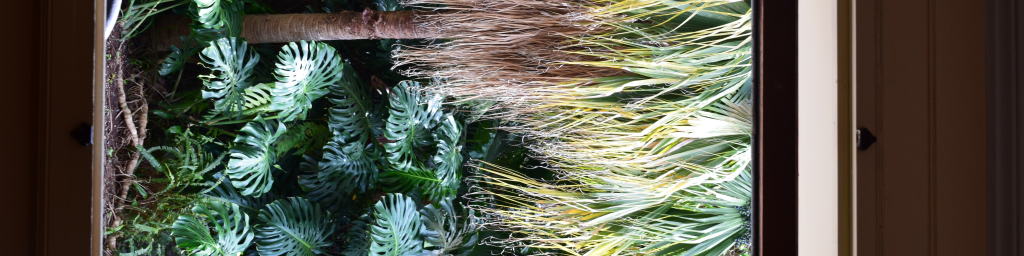 Exotische Orte