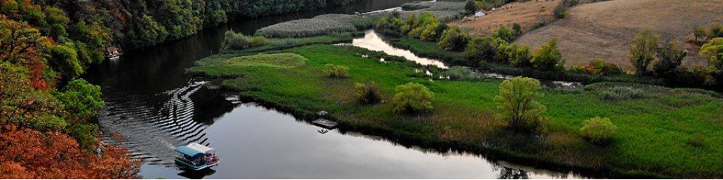 Morava