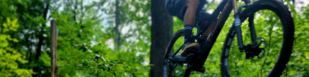 Steinbrechertrail Circuit - TSG Dossenheim