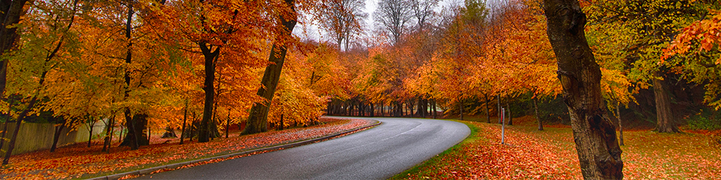 Best of autumn