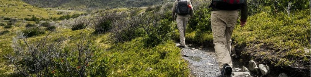 🚶 Gå turer 🚶