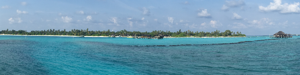 Island/BeachRunning