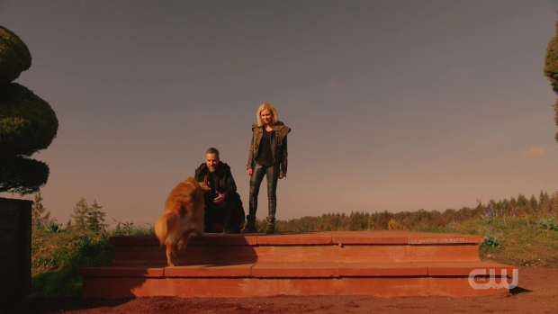 The 100