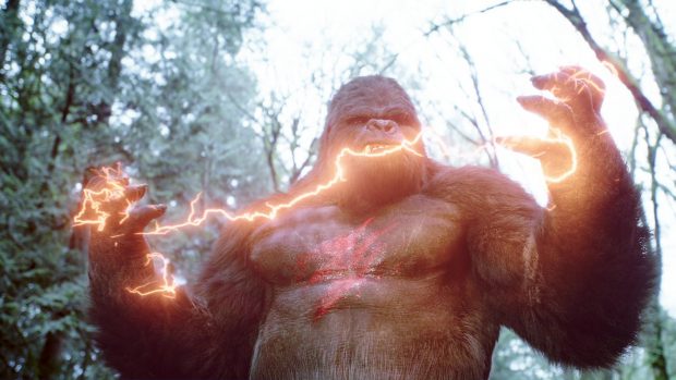 Flash