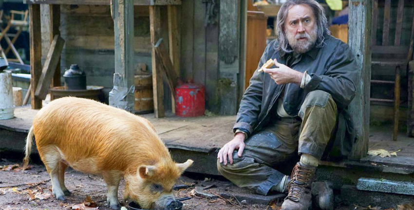Pig