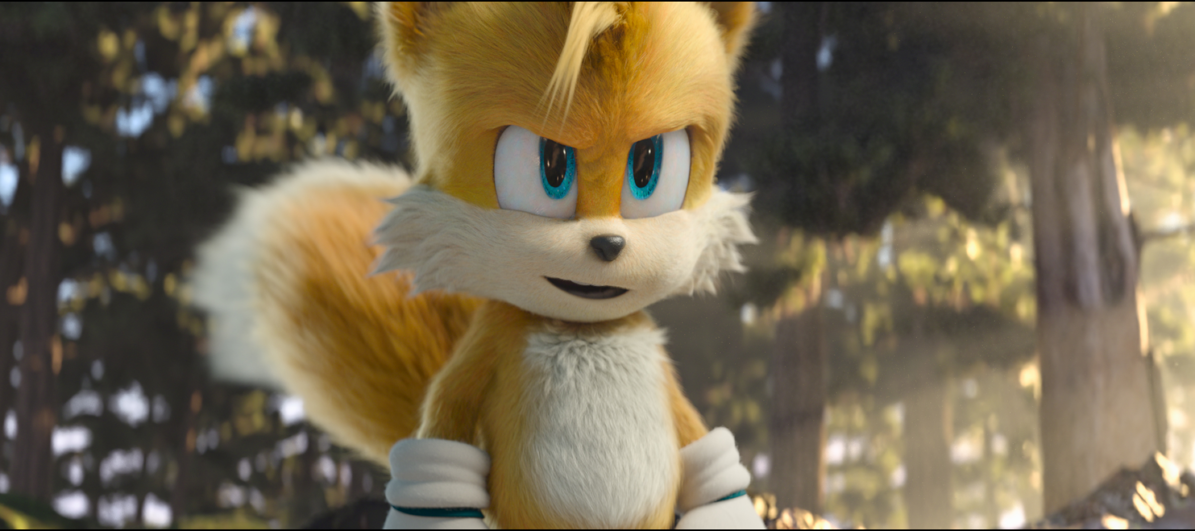 Sonic
