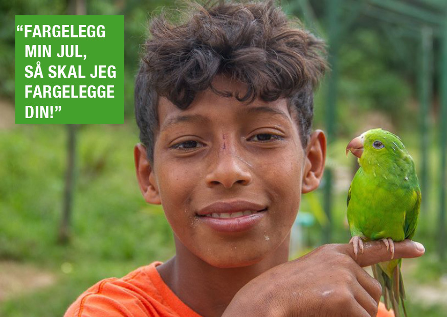 Kolibrisentrene er trygge.