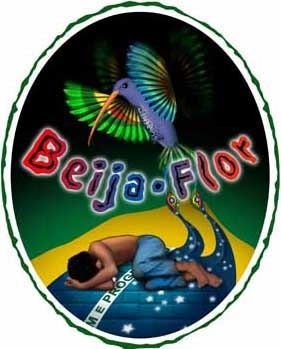 Denne illustrasjonen finnes på veggen i alle Kolibrisentrene i Brasil.