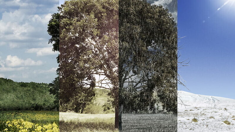 Sind Ganzjahresreifen für Schnee geeignet?