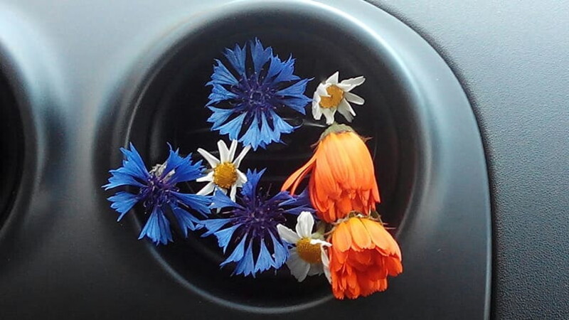 Safety First: wie man eine Klimaanlage nutzt