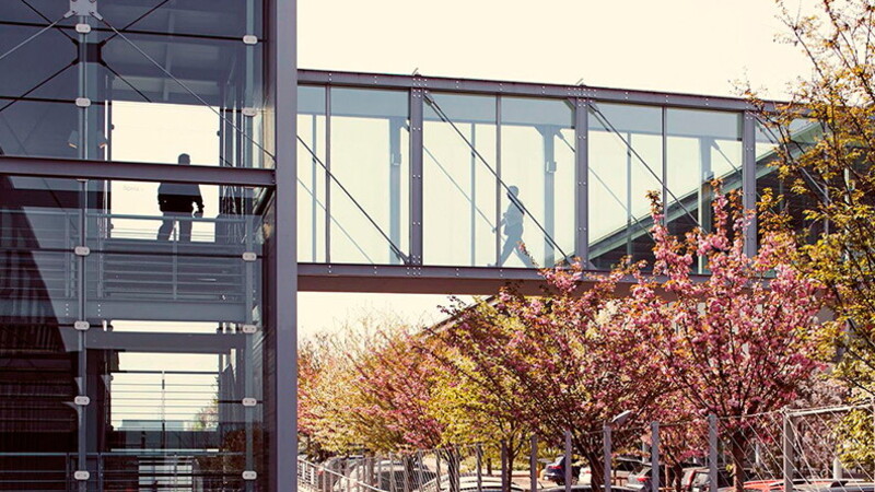 culture as an innovative factory a stage for social adhesion 01