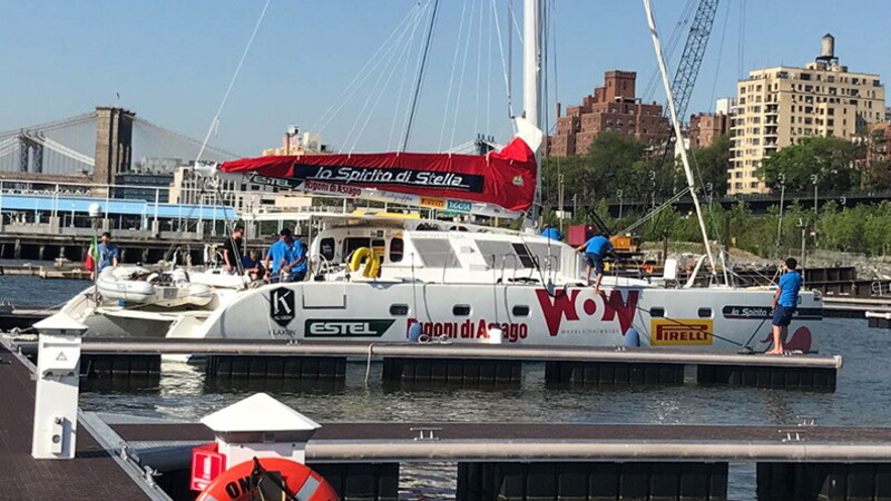 Wow: the world belongs to everyone