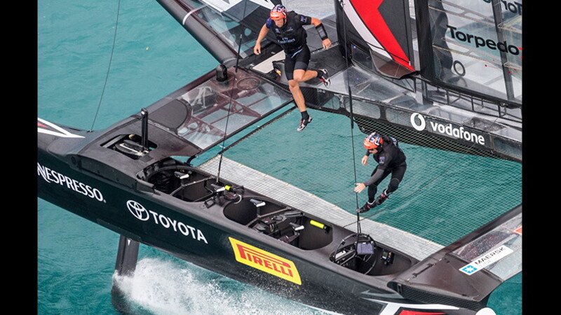 Kiwis and sailboats 3