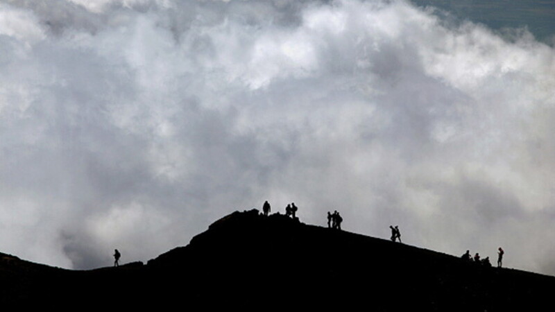 Following the foliage 06