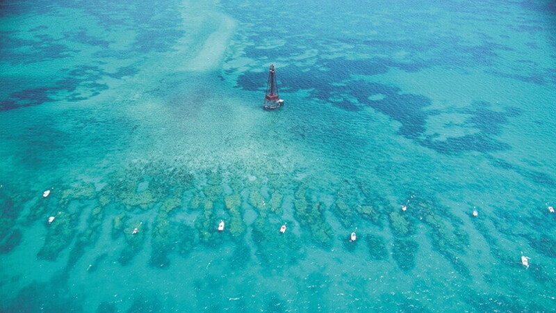 Top 5 American drives for your bucket list 09