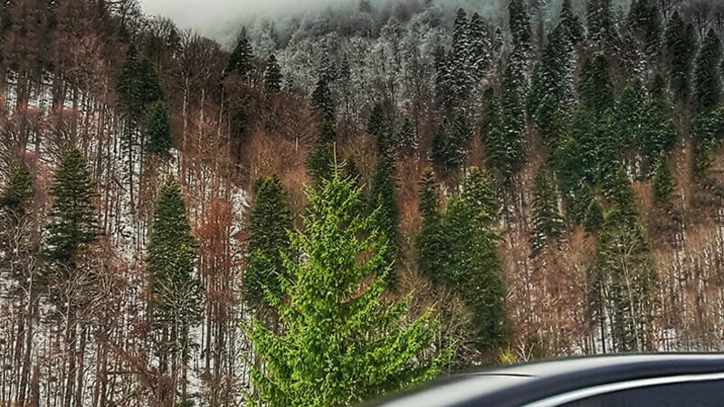 A winter on the road - Transylvania, Romania