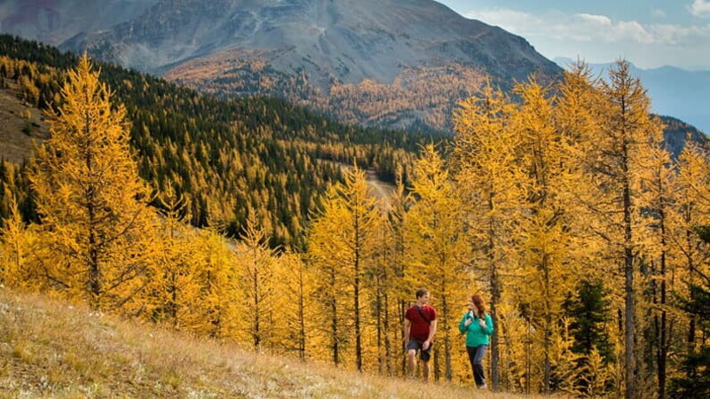 Falling for North America - Banff & Lake Louise