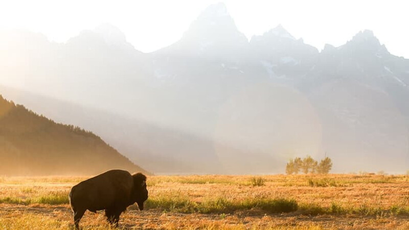 Five American drives to give thanks for - Wyoming