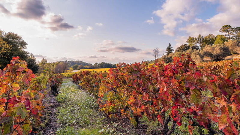 5 All-Season destinations to enjoy an unforgettable travel experience 01