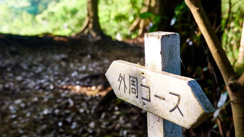 Wellbeing and contact with nature