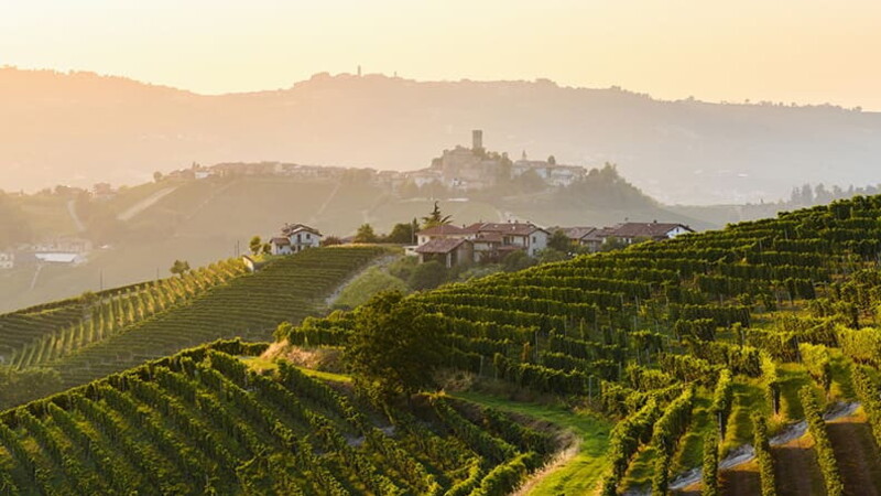 Italy, beauty and cuisine - Roero