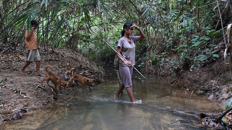 Pirelli, BMW Group and BirdLife International together to protect the ecosystem 01
