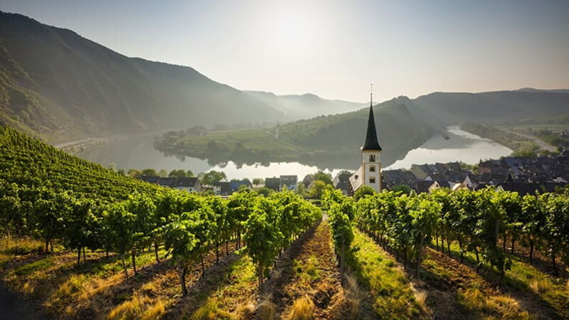 On the track of wines 03