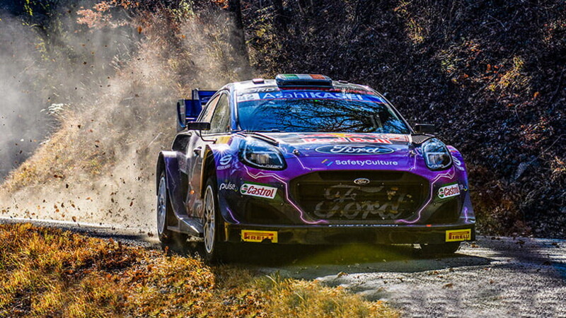 The evolution of the species