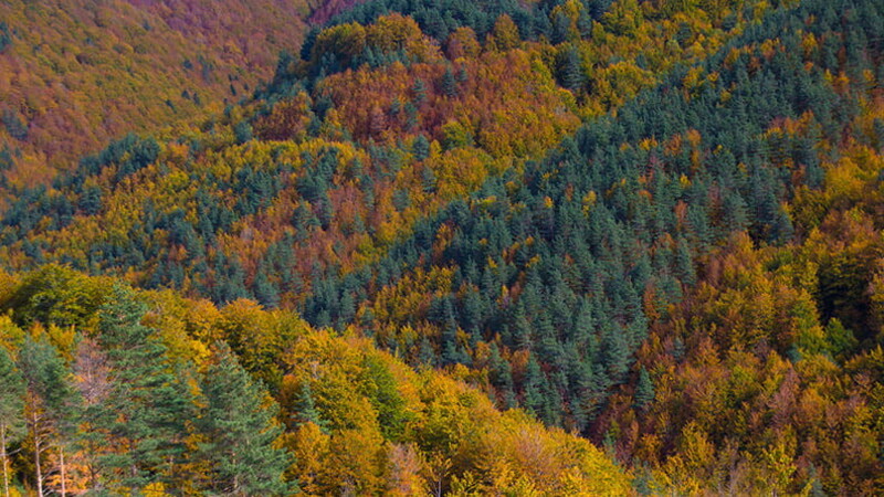 Paisajes para vivir el otoño sin salir de España 01