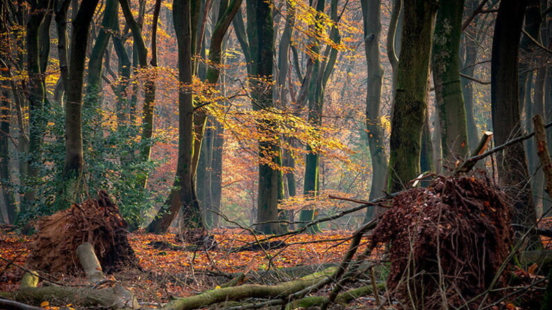 Paisajes para vivir el otoño sin salir de España 02