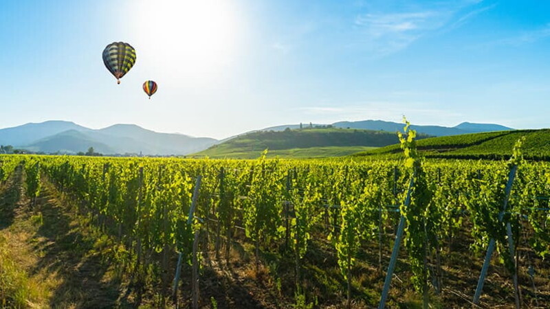 Cinq destinations françaises pour les gourmands 01