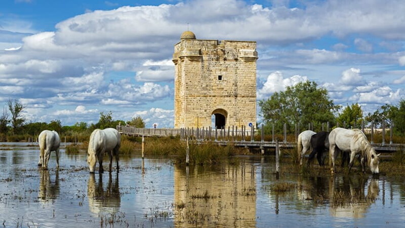 Cinq destinations françaises pour les gourmands 02