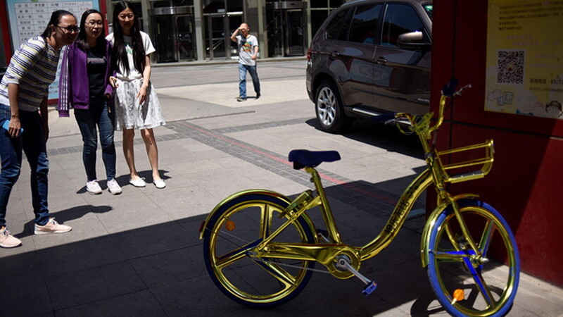 Bellezze di bicicletta 02