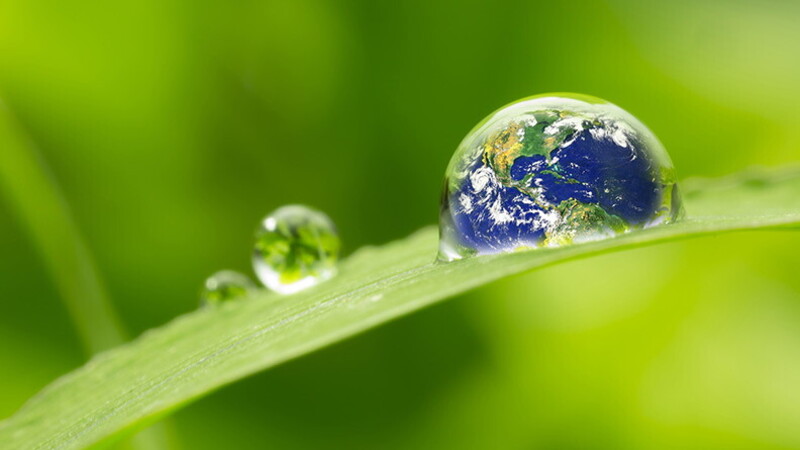 10 idee per rispettare l'ambiente 01